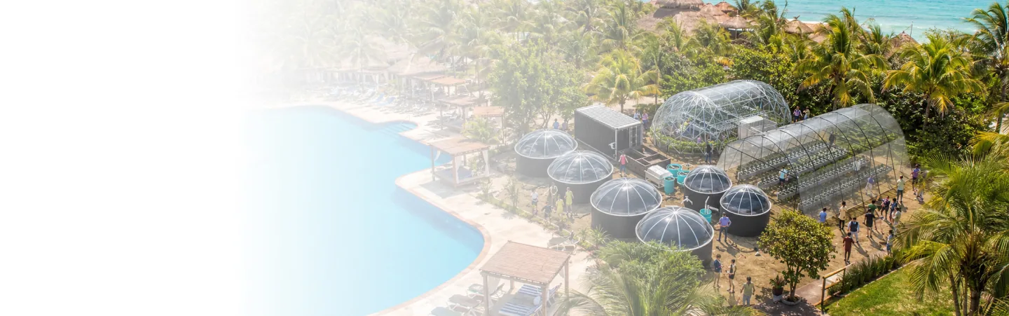 Instalación de acuaponía en El Dorado Royale, Riviera Maya